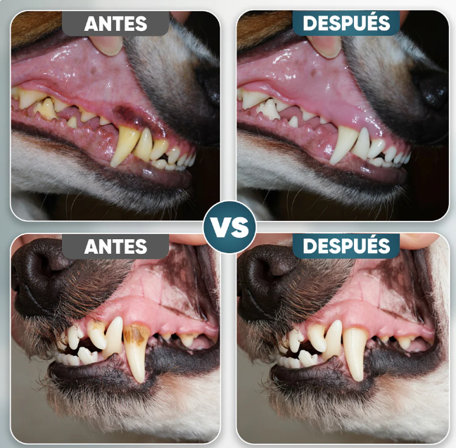 Aroven Dental Plus