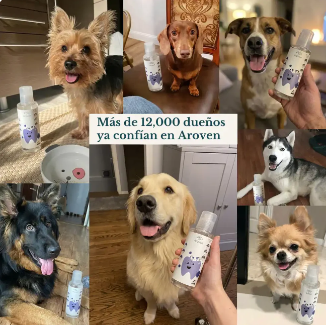 Aroven Dental Plus